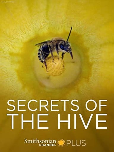 Secrets of the Hive poster