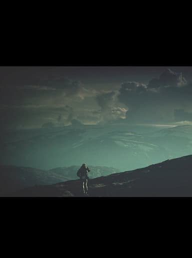 A Walk in Nature poster