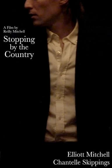 Stopping By The Country poster