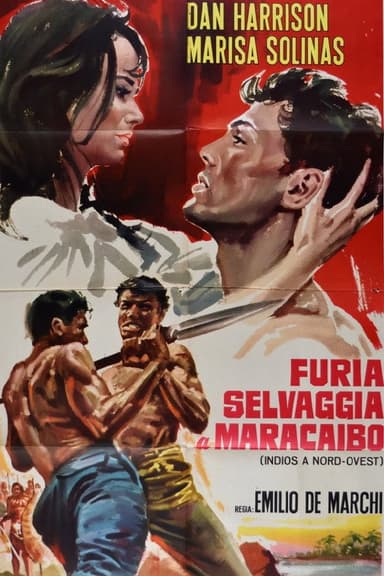 Indians in the Northwest poster