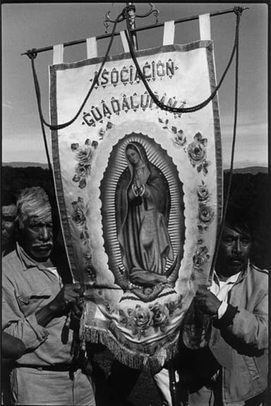 A Long Journey to Guadalupe poster