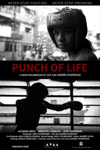 Punch of Life poster