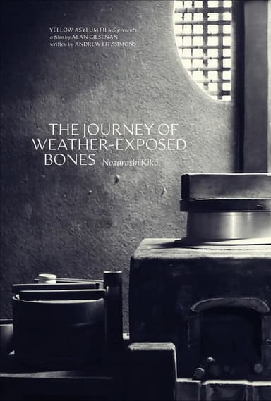 The Journey of Weather-Exposed Bones poster
