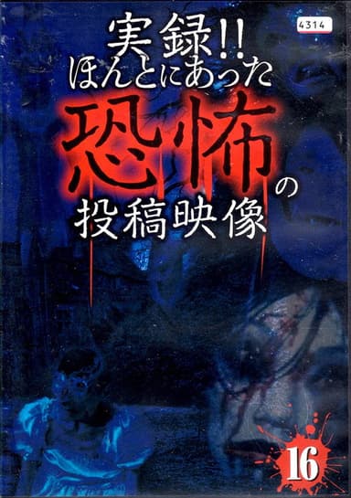 Actual Record! Real Horror Posted Video 16 poster