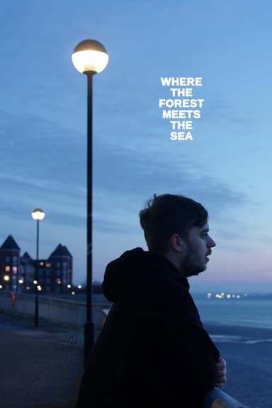 Where the Forest Meets the Sea poster