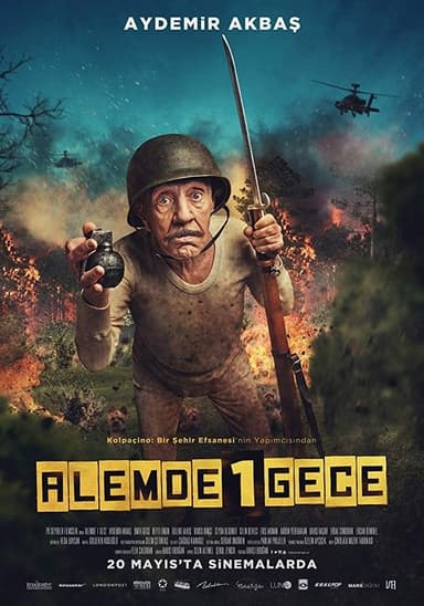 Alemde Bir Gece poster