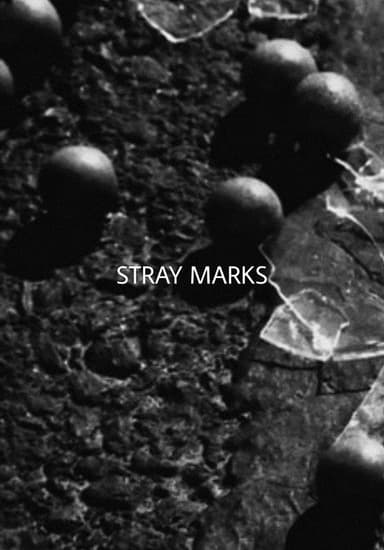 Stray Marks poster