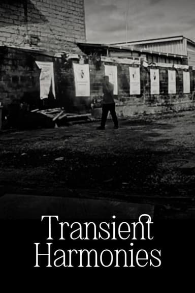 Transient Harmonies poster