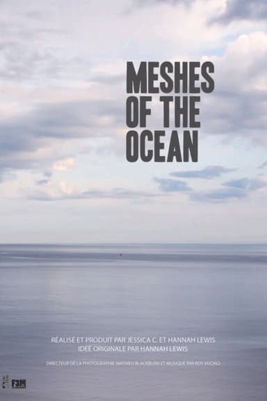 Meshes of the Ocean poster