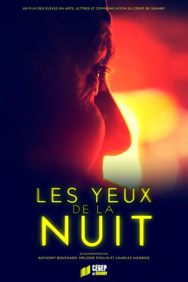 Les yeux de la nuit poster