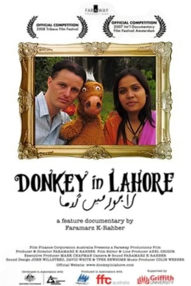 Donkey in Lahore poster