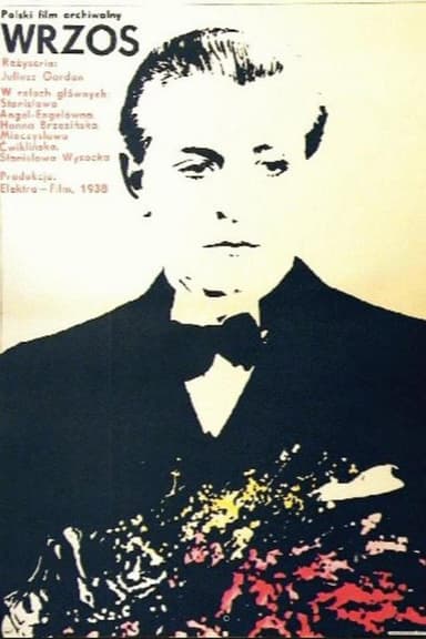 Wrzos poster