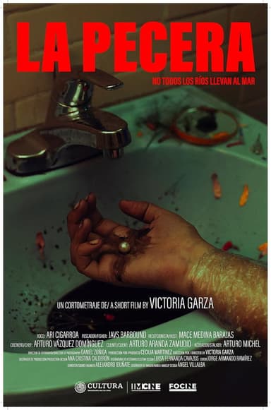 The Fish Tank poster