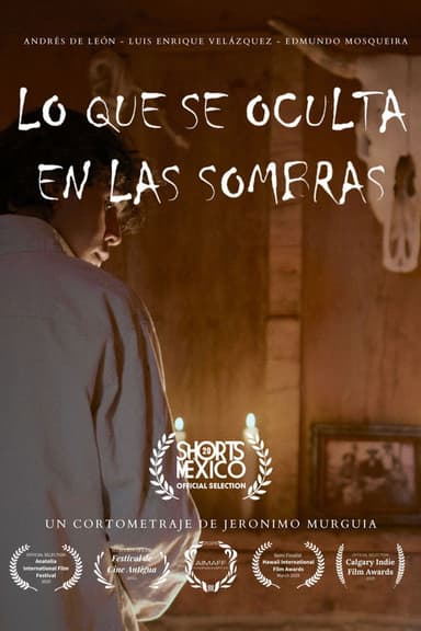 WHAT HIDES WHITIN THE SHADOWS poster