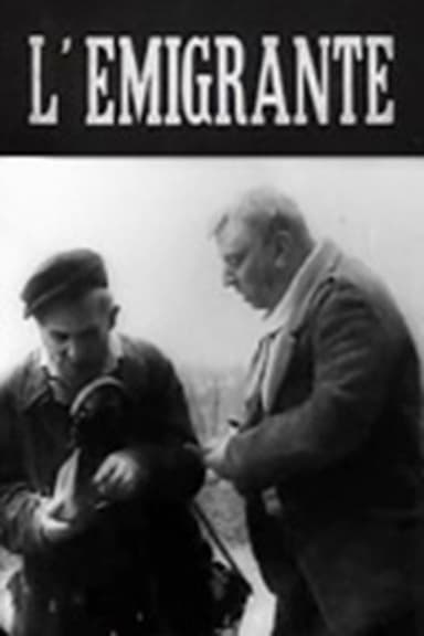 The Immigrant poster