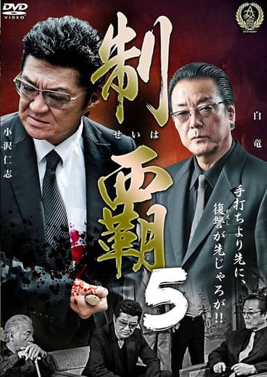 Conquest 5 poster