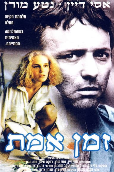 The War After poster