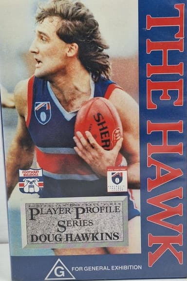 The Hawk poster
