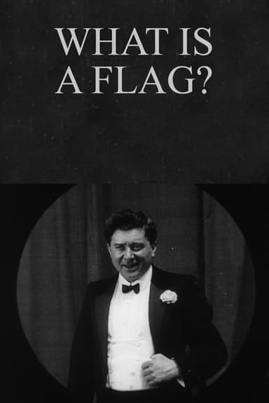 What Is a Flag? poster
