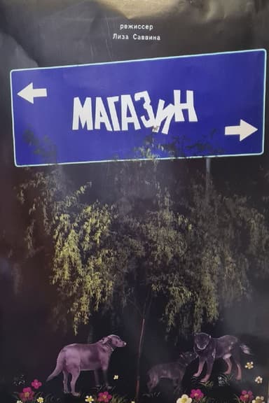 The Store poster