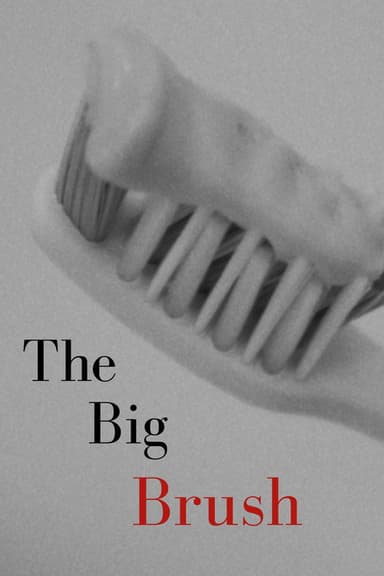 The Big Brush poster