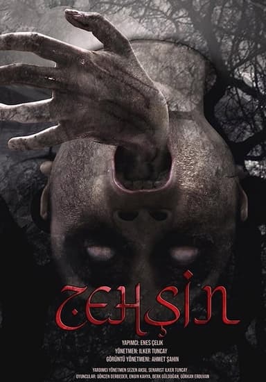Zehşin Cin-i Musallat poster