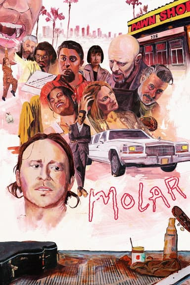 Molar poster