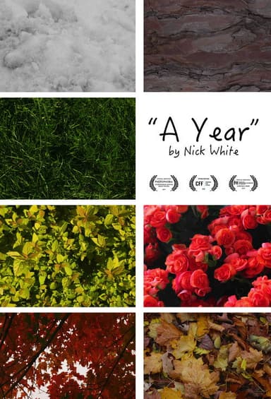 A Year poster