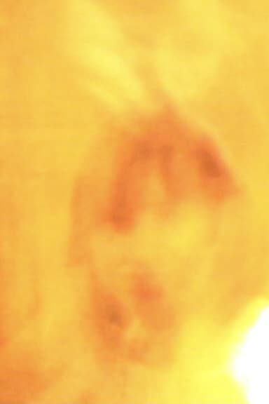 Autumn poster