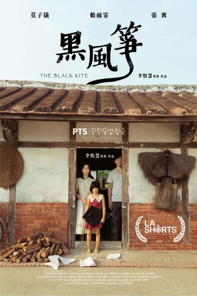 The Black Kite poster