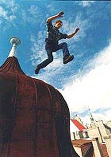Roof Man poster