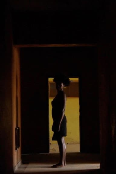 There Is No Light Inside the Mirror poster