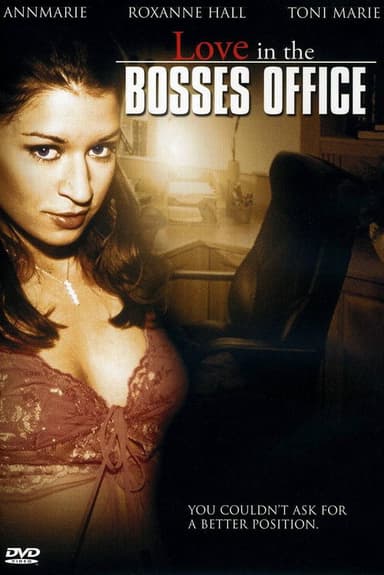 Love in the Bosses Office poster