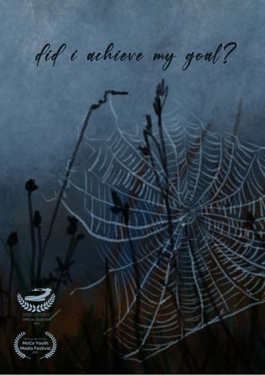 Did I Achieve My Goal? poster