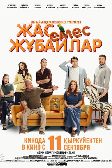 Not A Young Couple poster
