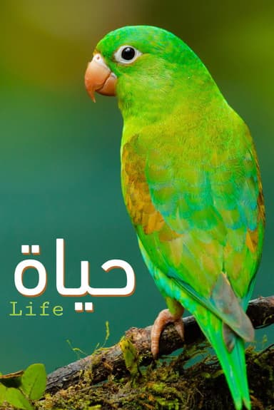 Life poster