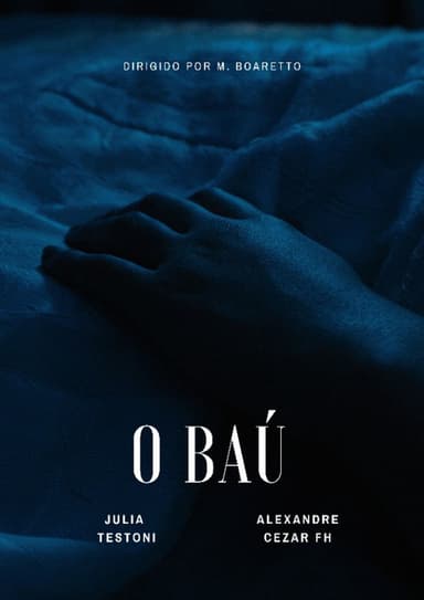 O Baú poster