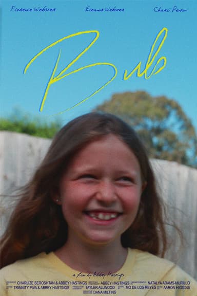 Bub poster