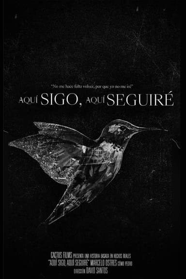 Aquí Sigo, Aquí Seguiré poster