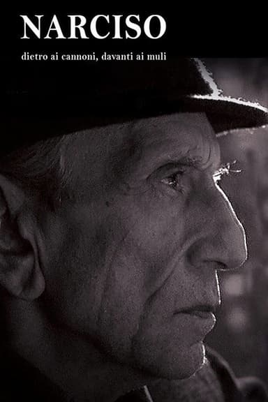Narciso - Dietro ai cannoni, davanti ai muli poster
