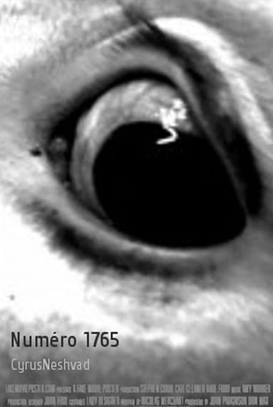 Numéro 1765 poster
