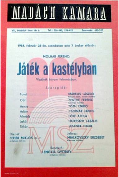 The Play at the Castle poster