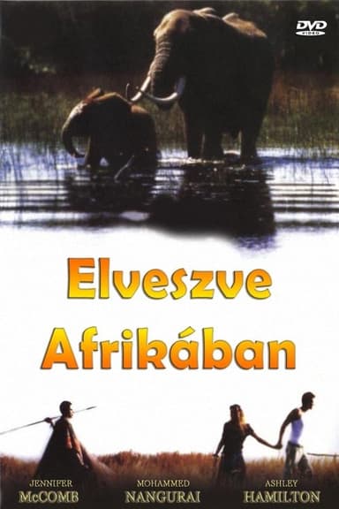 Lost in Africa poster