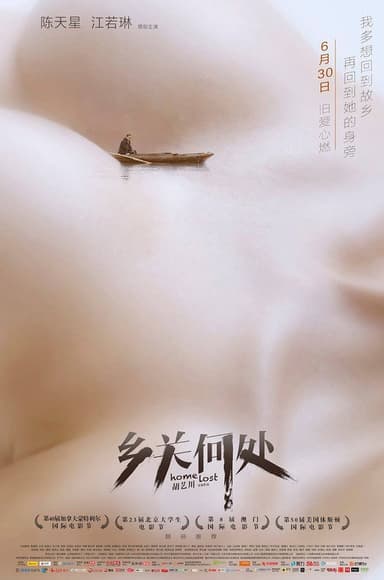 Home Lost poster