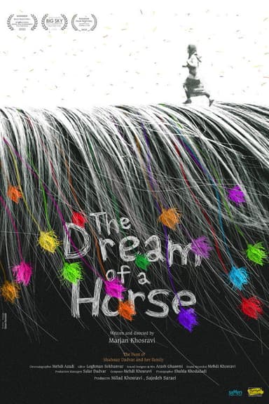 The Dream of a Horse poster