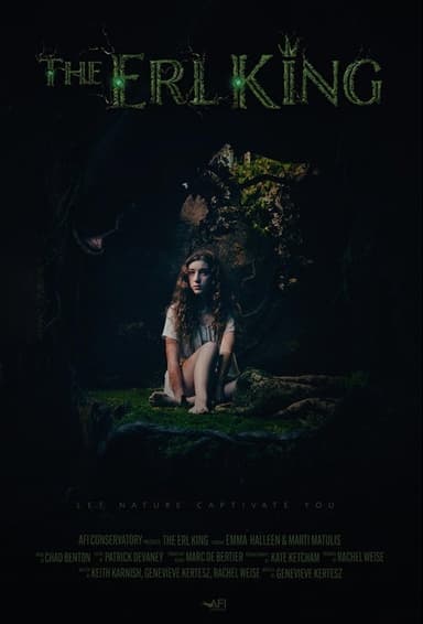 The Erl King poster