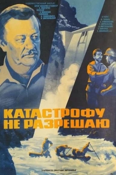 I Do Not Allow the Catastrophe poster