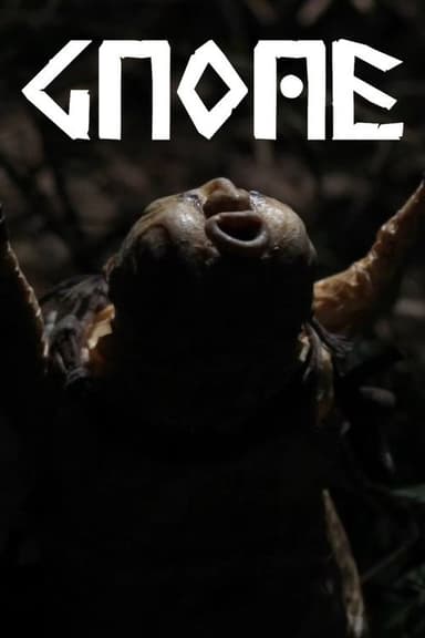 Gnome poster