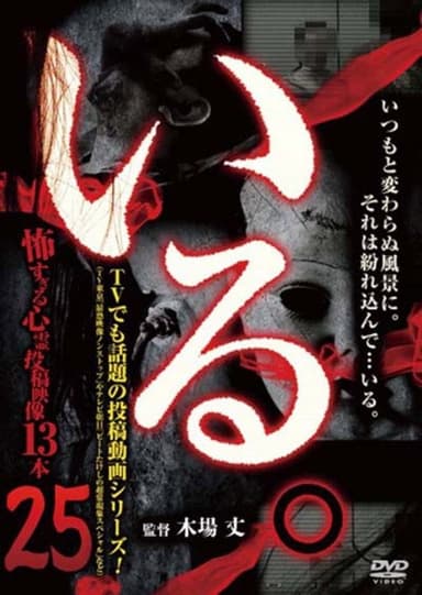 「Iru.」~ Kowasugiru Tōkō Eizō 13-hon ~ Vol.25 poster