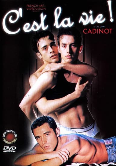 C'est la vie poster